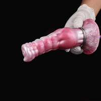 Dragondildostore