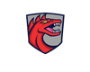 Dragondildostore