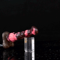 Dragondildostore