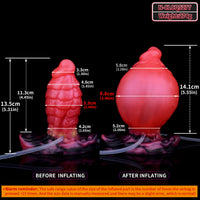 Dragondildostore