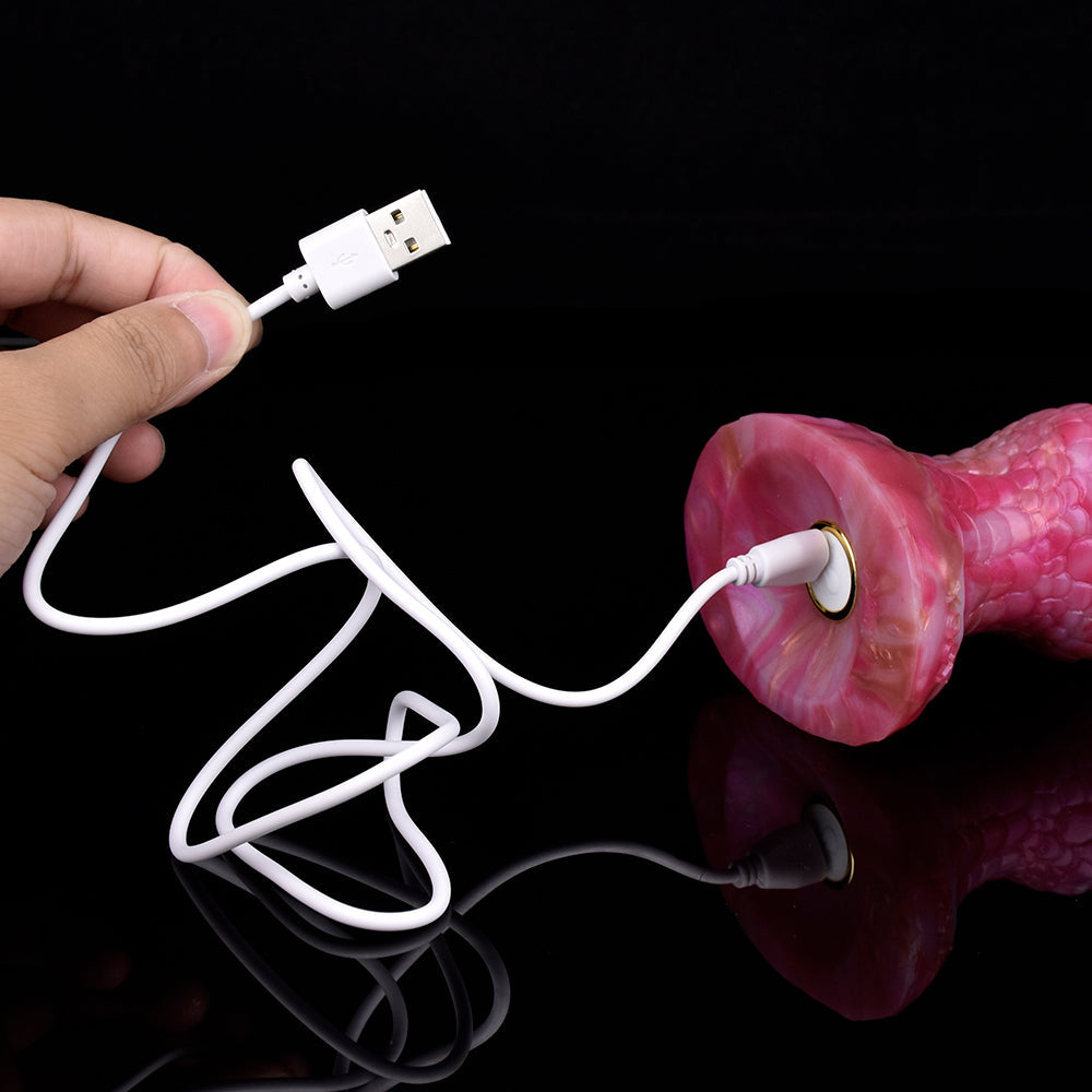 Dragondildostore