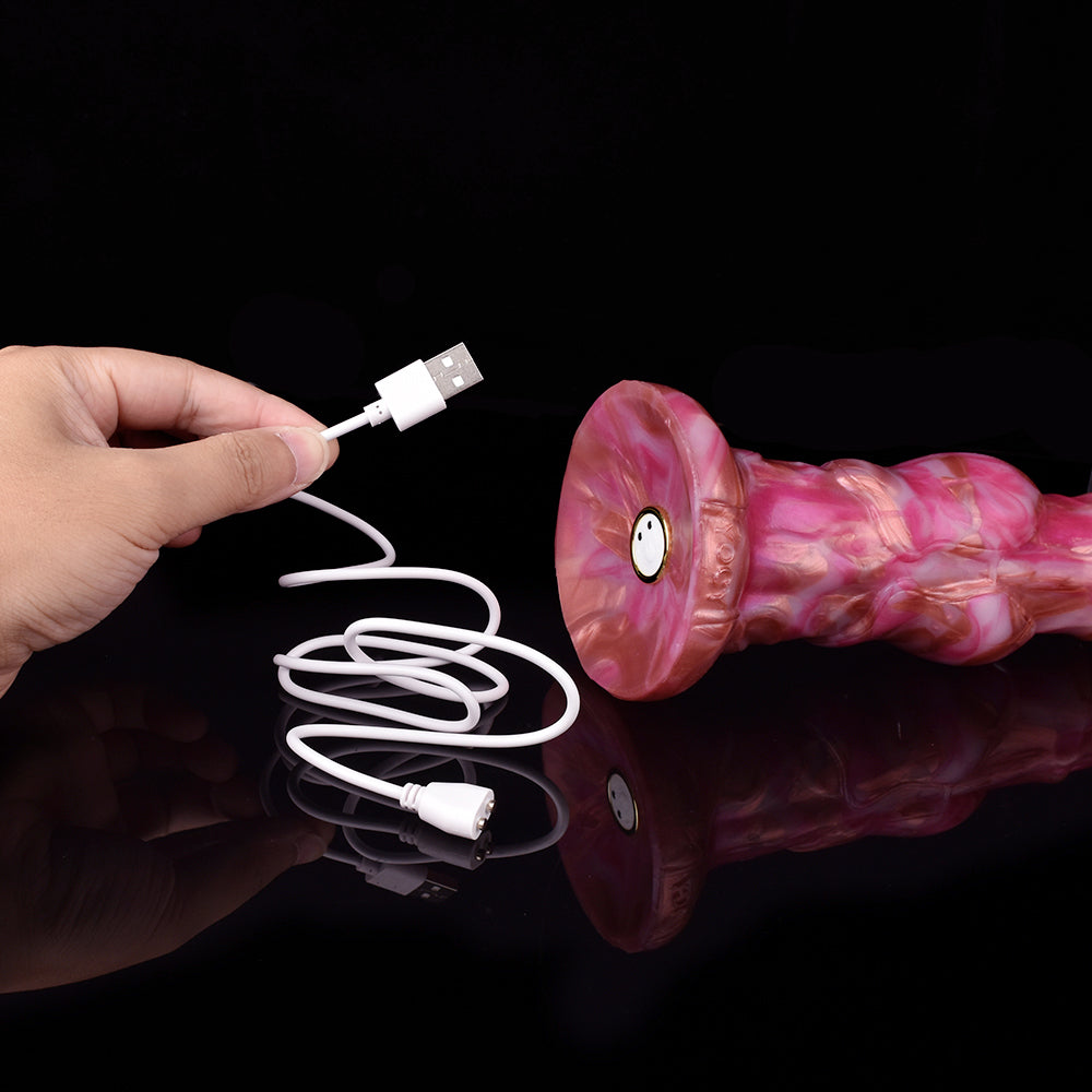 Dragondildostore